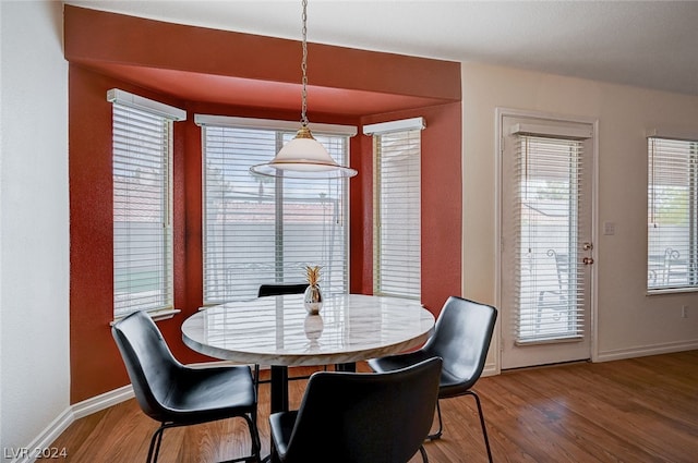 dining room with hardwood / wood-style flooring