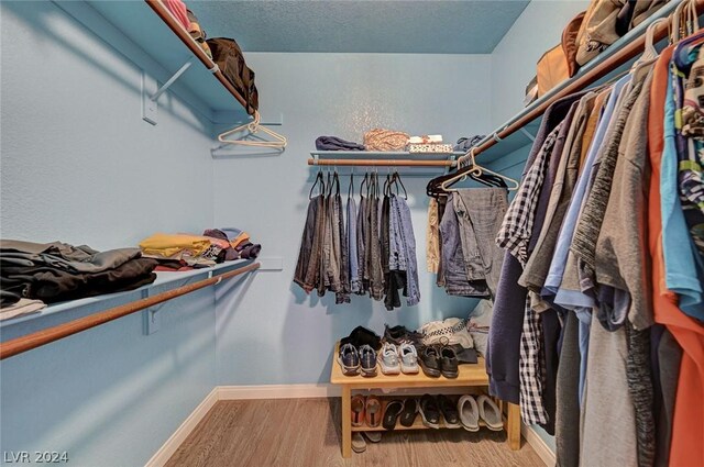 spacious closet featuring hardwood / wood-style flooring