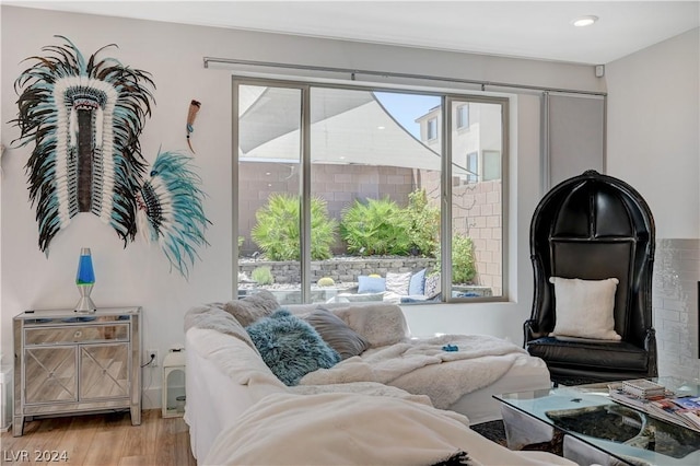 sitting room with light hardwood / wood-style flooring and a wealth of natural light