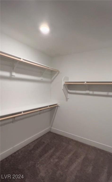 spacious closet featuring dark colored carpet