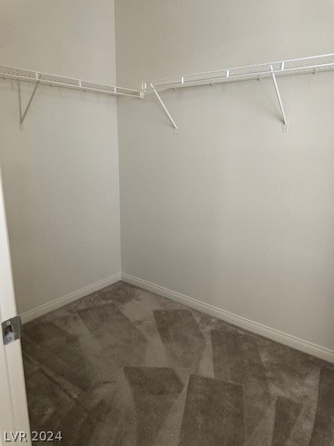 walk in closet featuring carpet