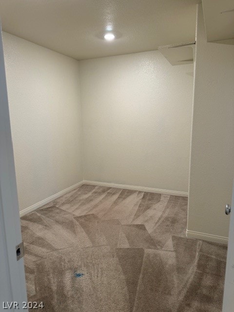 spare room with carpet