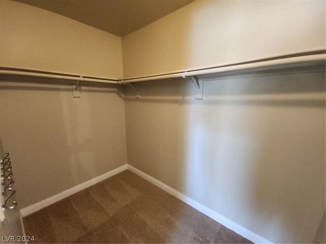 walk in closet featuring carpet flooring