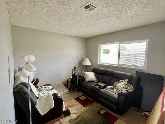 carpeted living room with a textured ceiling