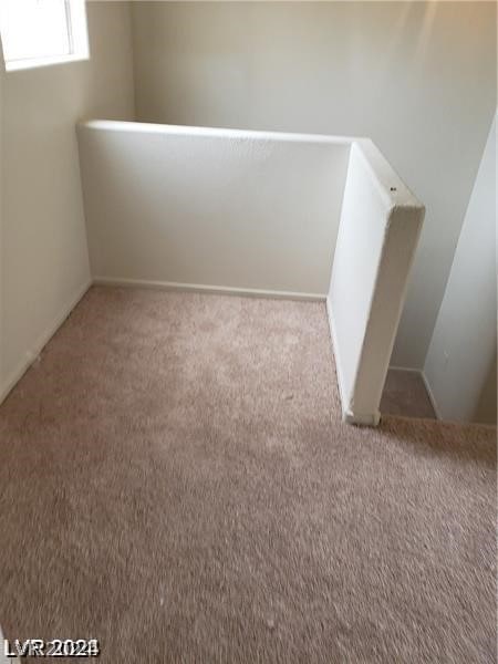 interior space featuring carpet flooring