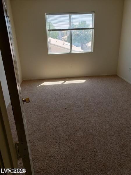 carpeted spare room with a wealth of natural light