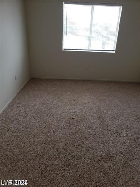 empty room featuring carpet