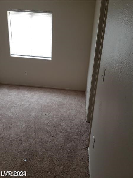 unfurnished room featuring carpet