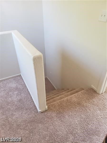 stairway featuring carpet floors