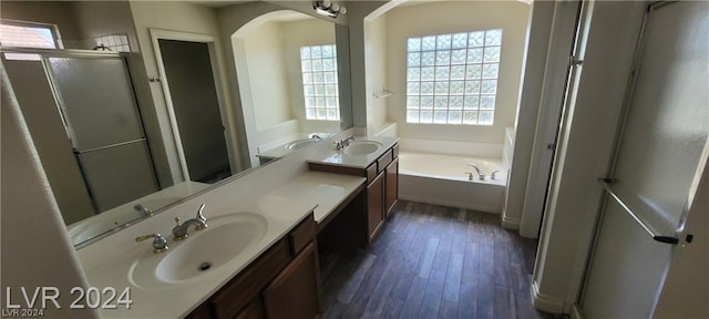 bathroom with hardwood / wood-style flooring, plenty of natural light, plus walk in shower, and vanity