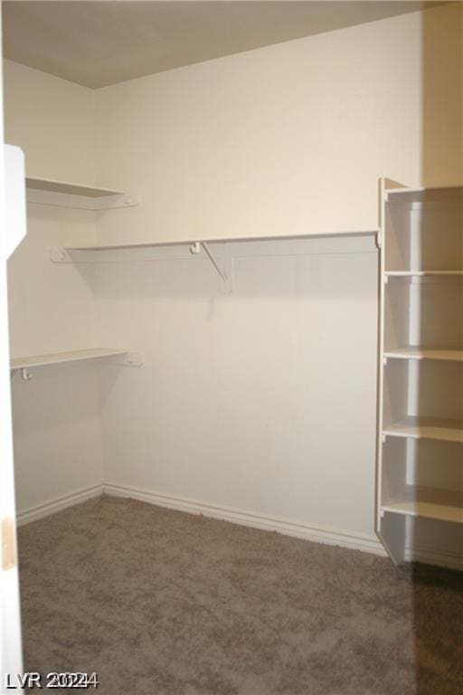 walk in closet featuring carpet flooring