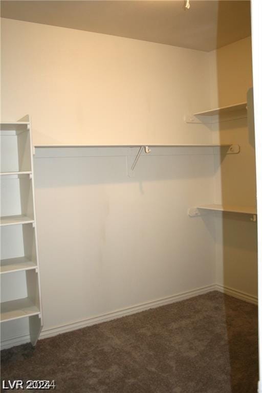 spacious closet featuring dark carpet