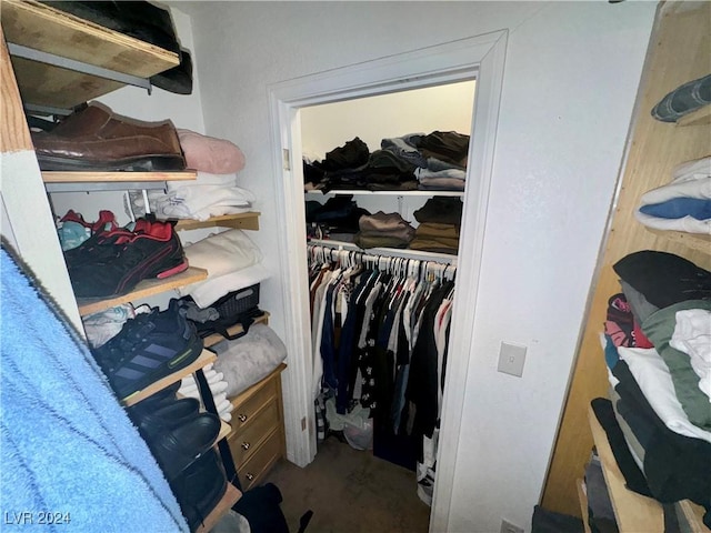 view of spacious closet