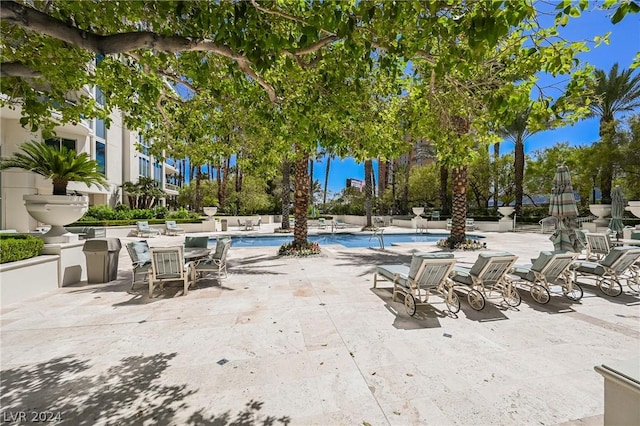 view of swimming pool with a patio