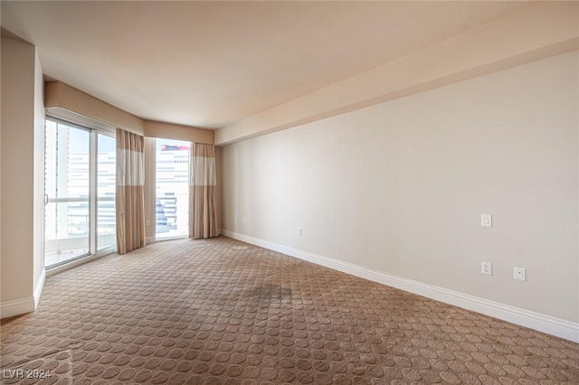 empty room featuring carpet floors