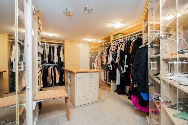 spacious closet with visible vents