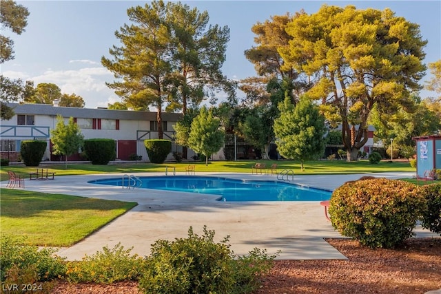 view of pool with a yard