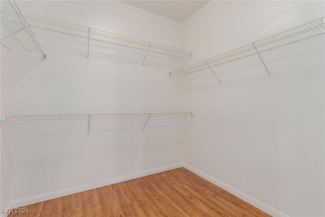 walk in closet featuring light wood-style flooring