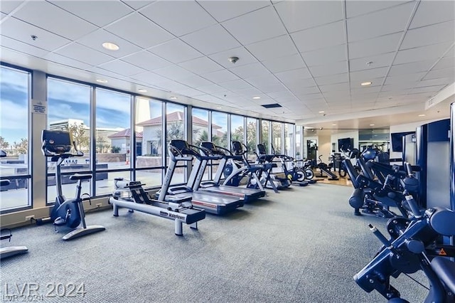 gym with a drop ceiling, carpet flooring, and expansive windows