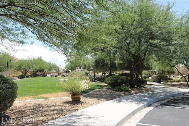 view of home's community with a lawn