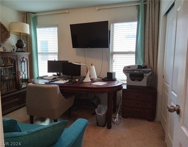 view of carpeted home office