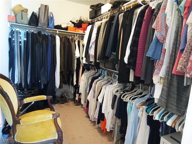 spacious closet with carpet flooring