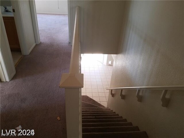 stairway featuring carpet floors