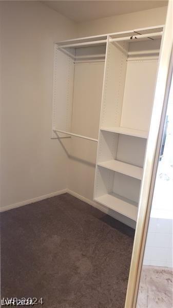 walk in closet featuring carpet