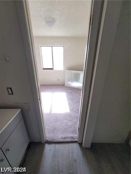 bathroom with vanity, hardwood / wood-style floors, and a textured ceiling