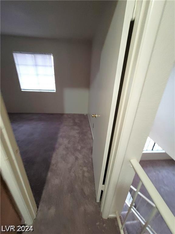 interior space featuring carpet flooring and plenty of natural light