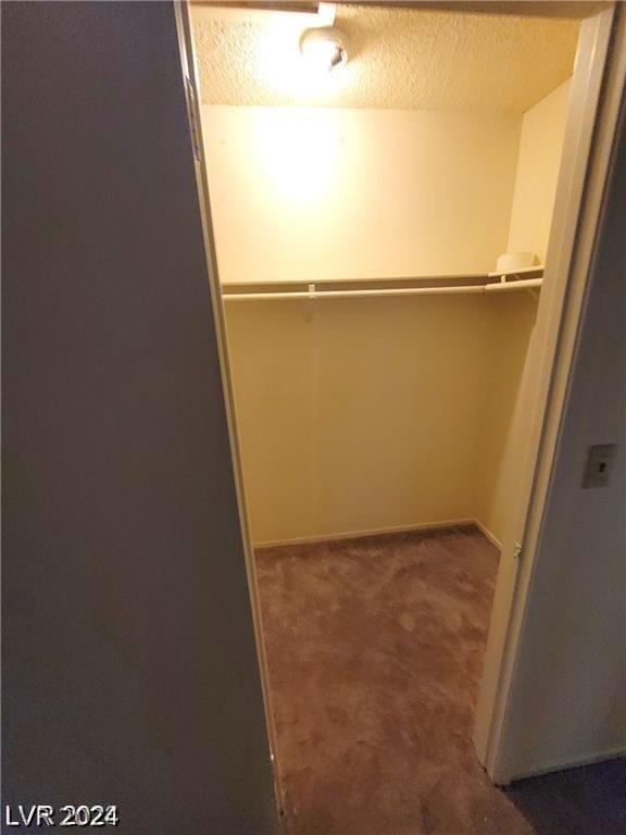 walk in closet with carpet floors