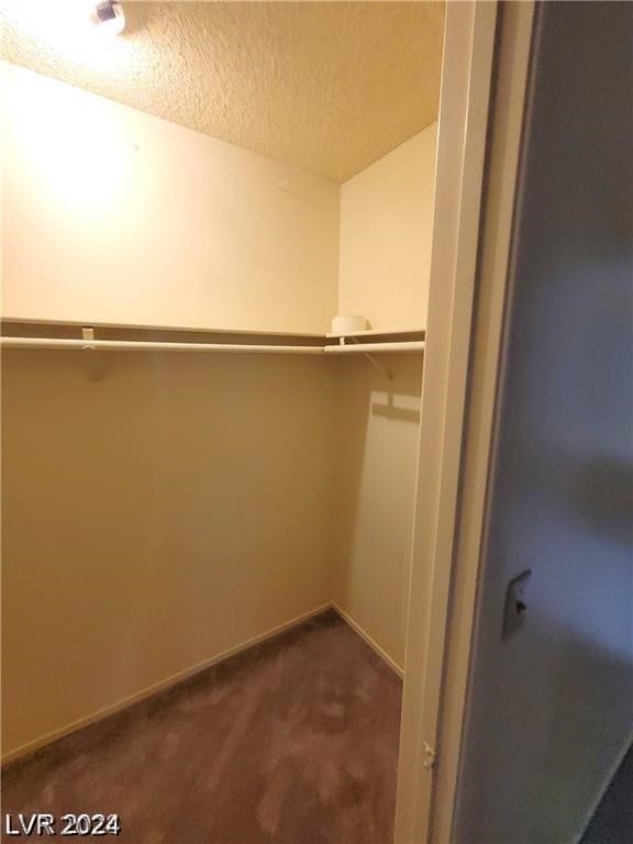 spacious closet featuring carpet