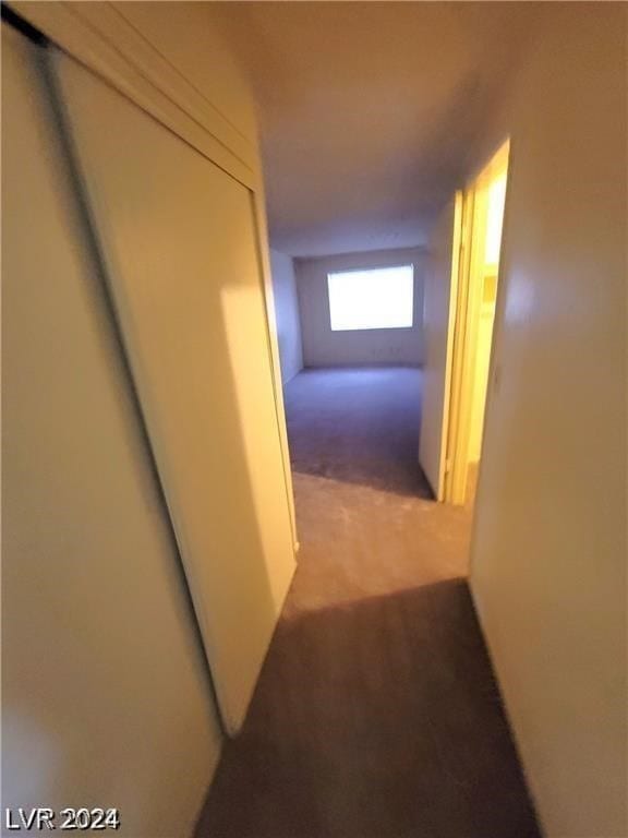 corridor with carpet floors