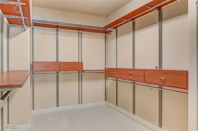 view of spacious closet