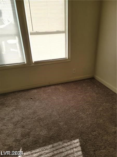 spare room featuring carpet flooring