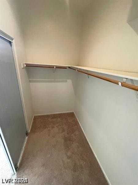 spacious closet featuring carpet flooring