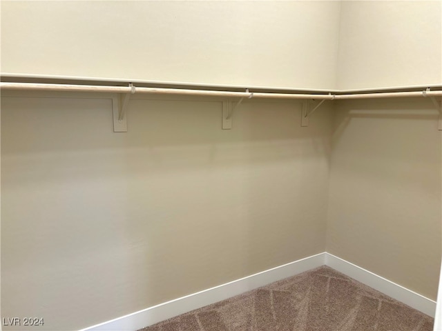 spacious closet with carpet flooring