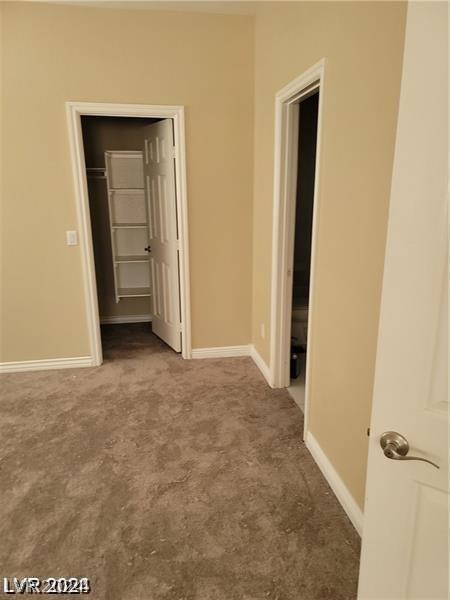 interior space featuring carpet and a closet