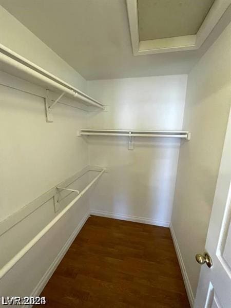 spacious closet featuring attic access and wood finished floors