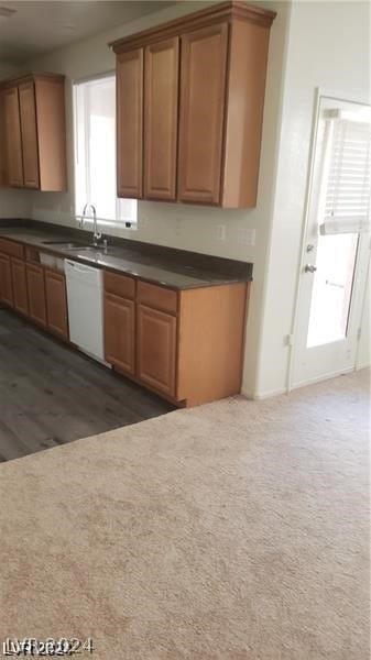 kitchen featuring dark hardwood / wood-style floors, dishwasher, and sink