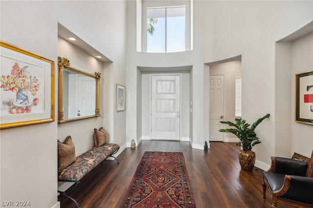 entrance foyer featuring a towering ceiling and dark wood-type flooring