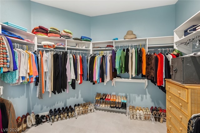 spacious closet with carpet