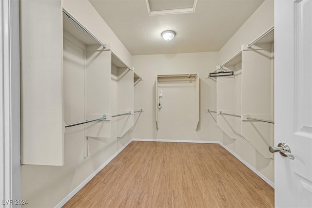 walk in closet with light hardwood / wood-style flooring