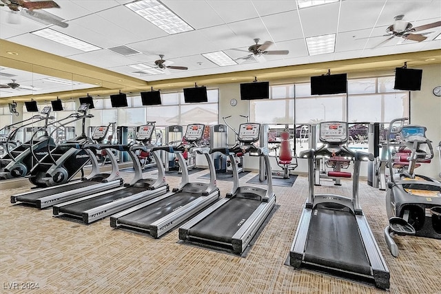 exercise room with carpet floors, ceiling fan, and a drop ceiling