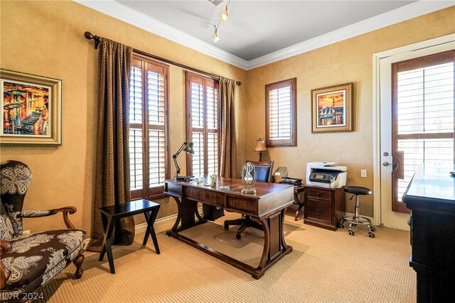 office area featuring light colored carpet, crown molding, rail lighting, and a wealth of natural light