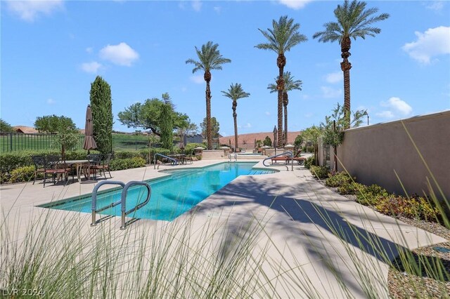 view of pool with a patio area