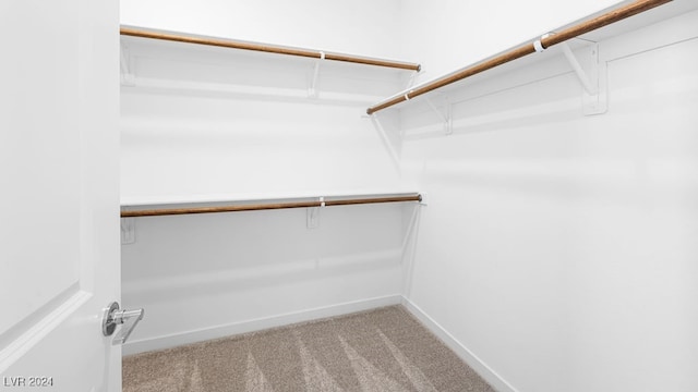 spacious closet featuring light carpet