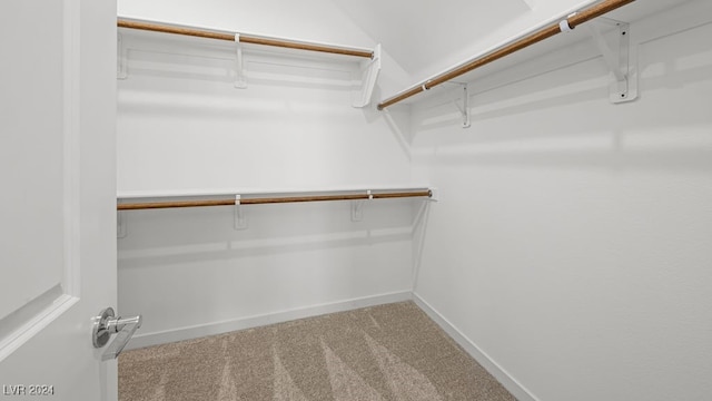 spacious closet with carpet