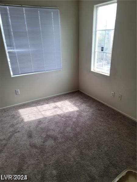 spare room featuring carpet flooring