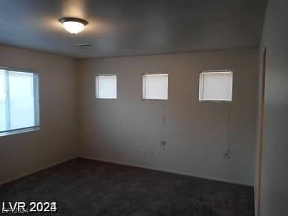 carpeted empty room with a wealth of natural light